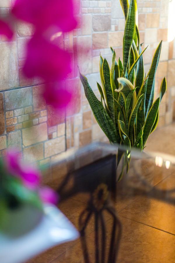 Merida Serviced Apartments Dış mekan fotoğraf